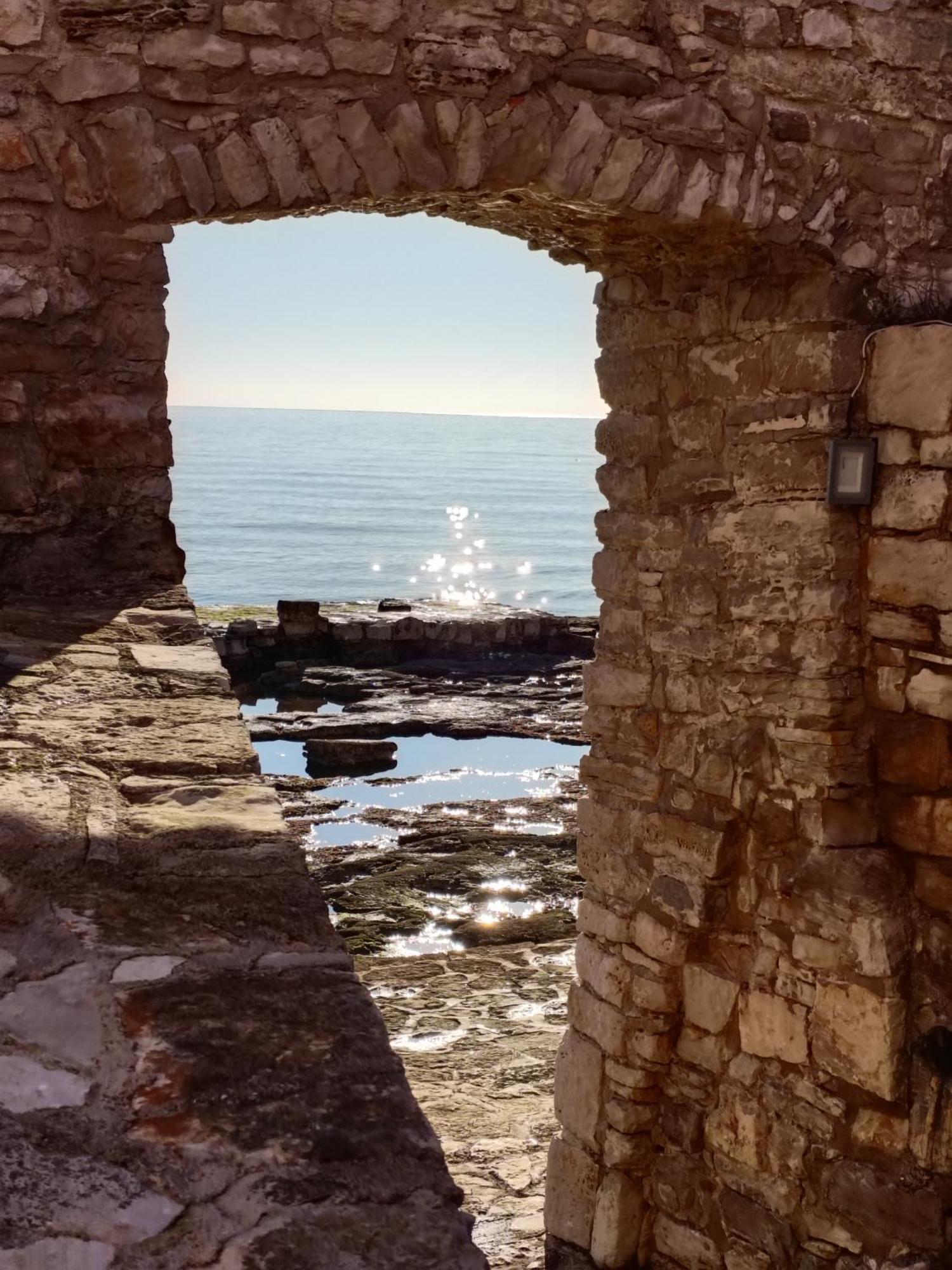 Kaplja Novigrad Istria